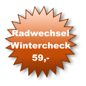 Radwechsel Wintercheck 59,-